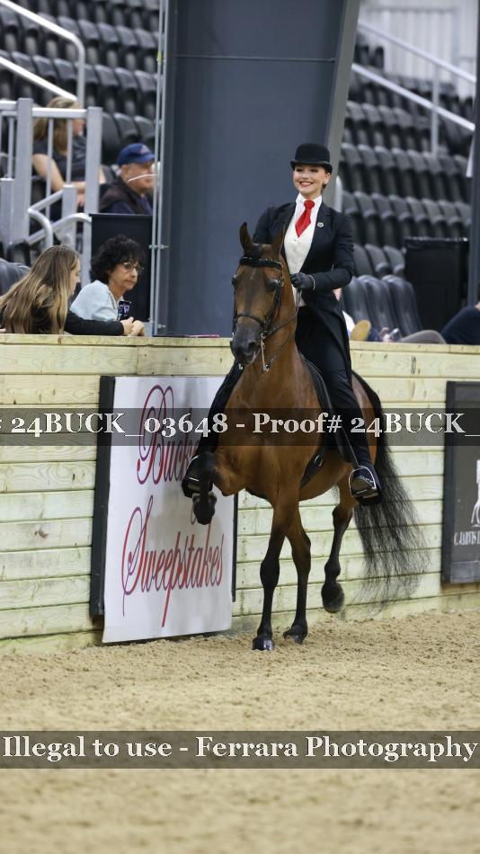 Proof 24BUCK_03648