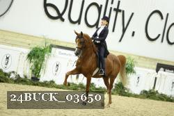 24BUCK_03650 proof