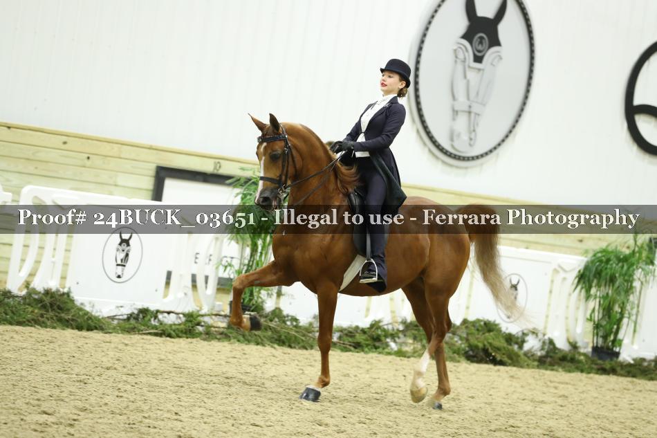 Proof 24BUCK_03651