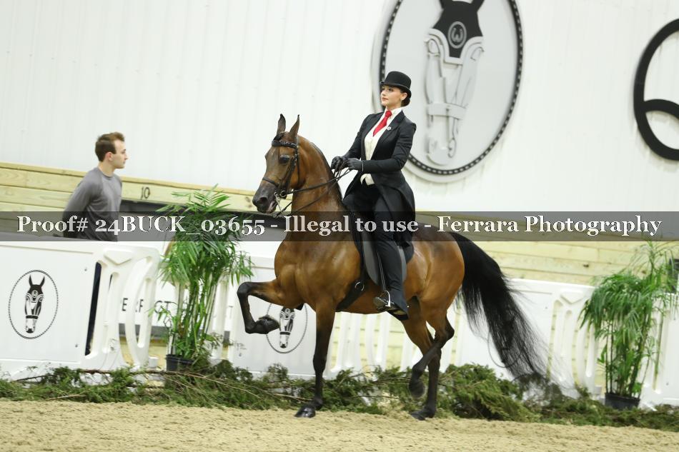 Proof 24BUCK_03655