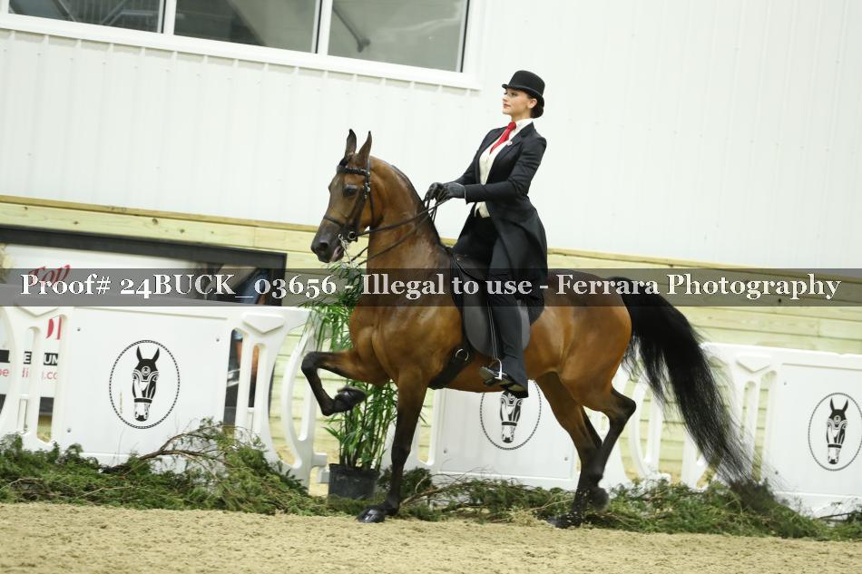 Proof 24BUCK_03656