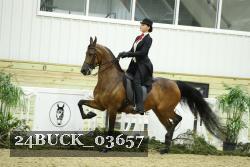 24BUCK_03657 proof