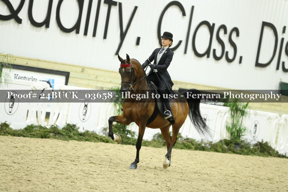Proof 24BUCK_03658