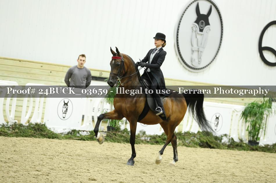 Proof 24BUCK_03659