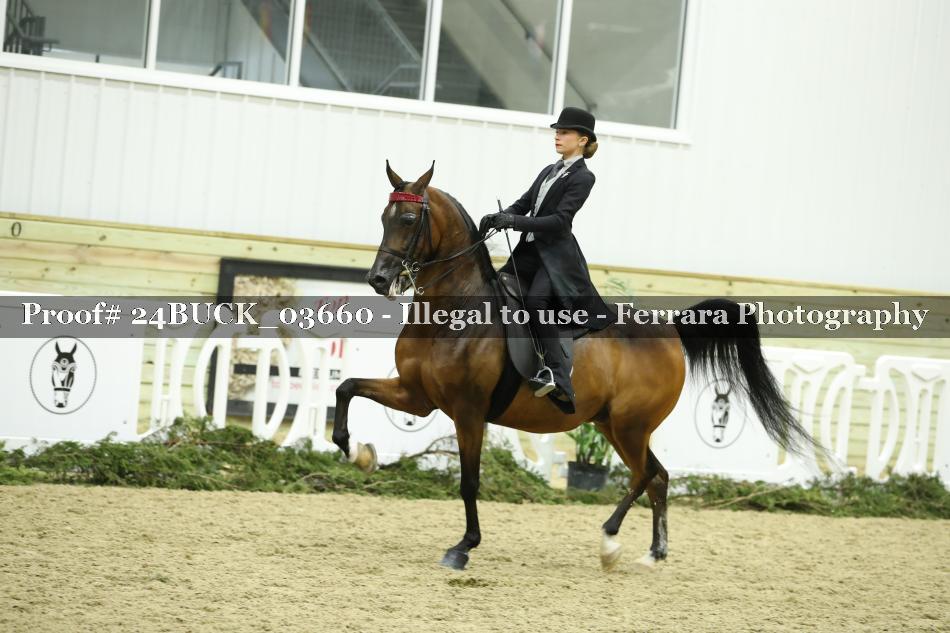 Proof 24BUCK_03660