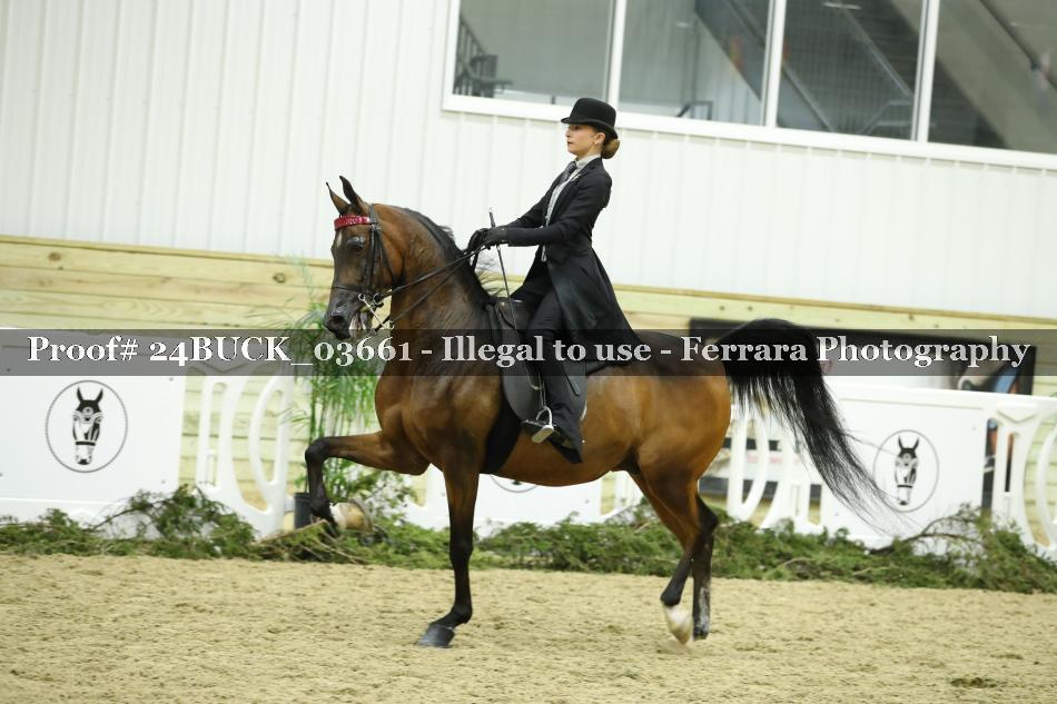 Proof 24BUCK_03661