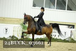 24BUCK_03661 proof