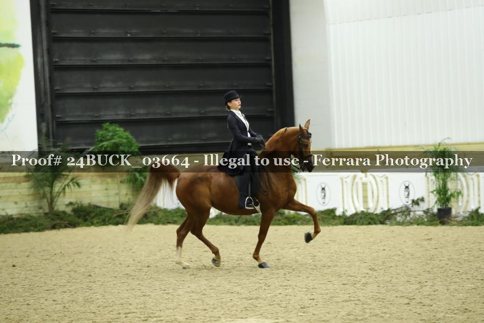 Proof 24BUCK_03664