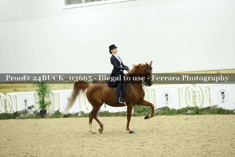 Proof 24BUCK_03665