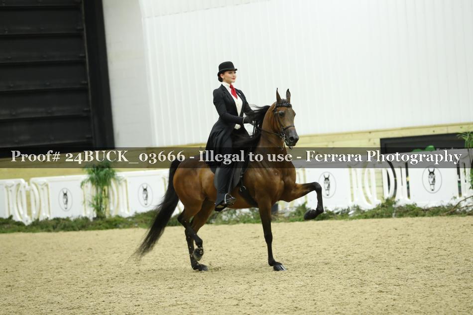 Proof 24BUCK_03666