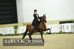 24BUCK_03666 proof