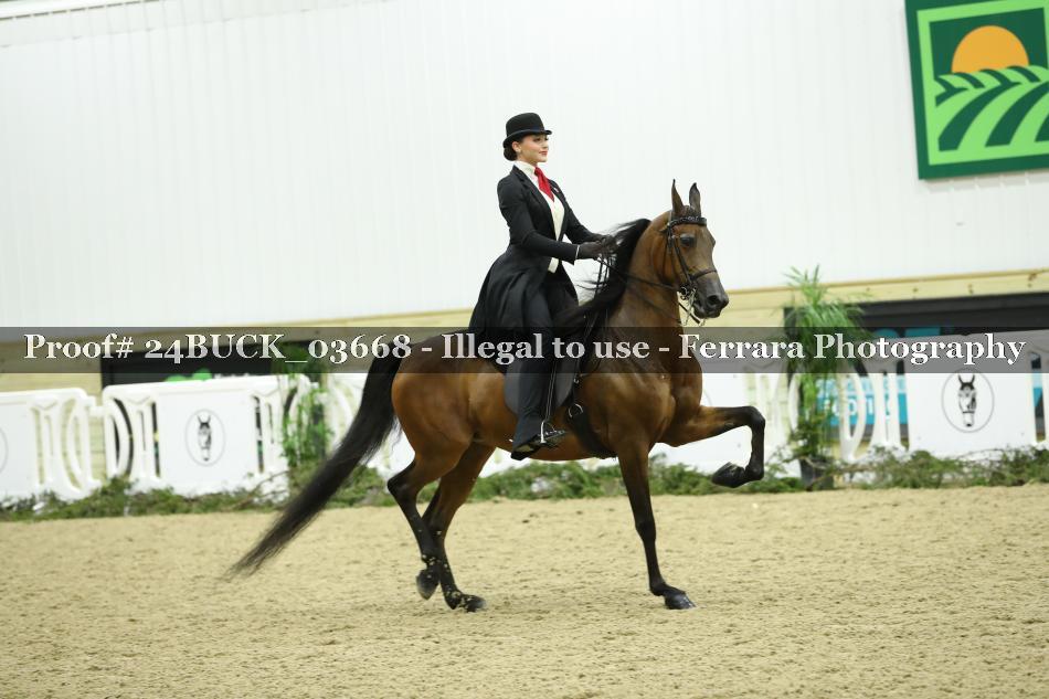 Proof 24BUCK_03668