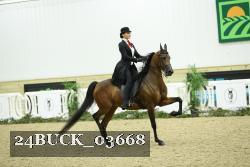 24BUCK_03668 proof