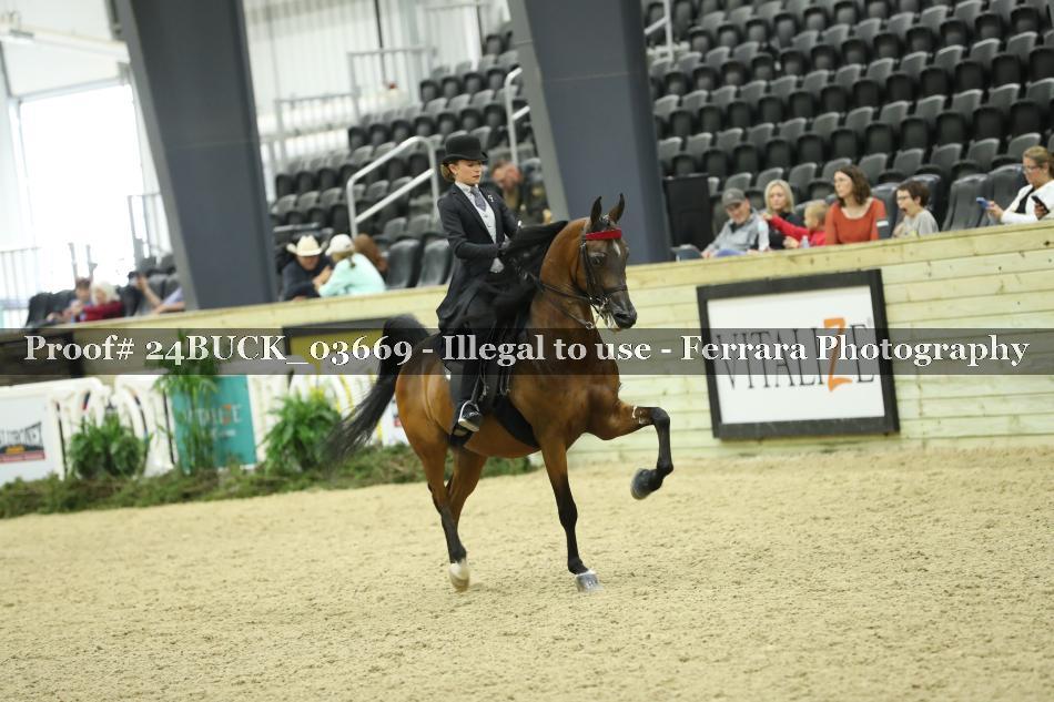 Proof 24BUCK_03669