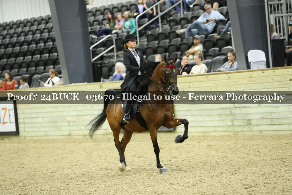 Proof 24BUCK_03670