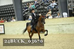 24BUCK_03670 proof
