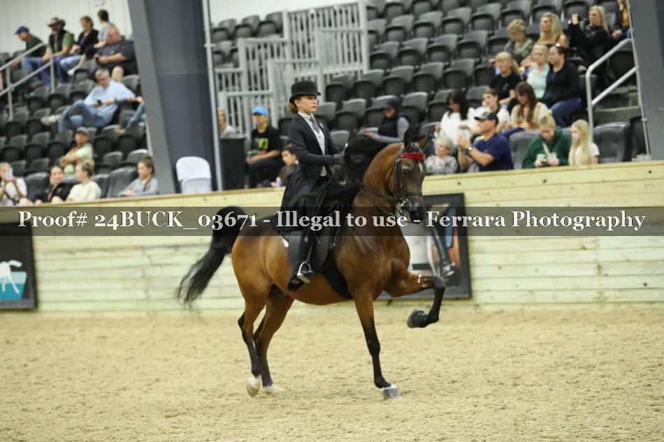 Proof 24BUCK_03671