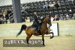 24BUCK_03672 proof