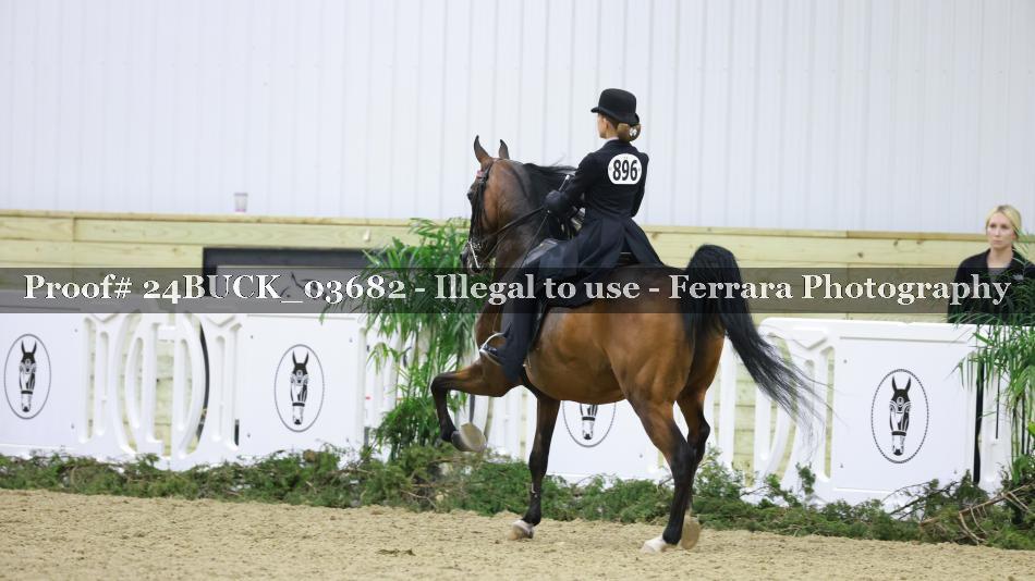 Proof 24BUCK_03682