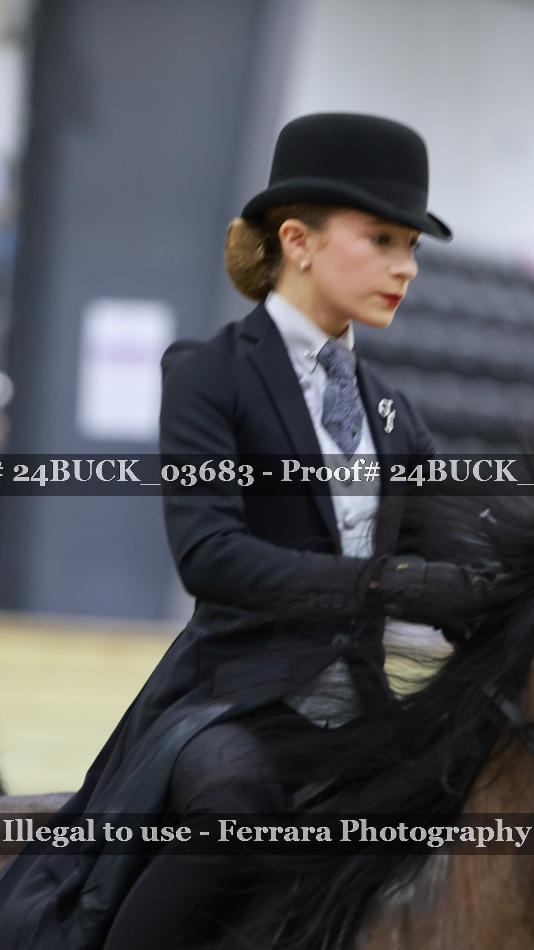 Proof 24BUCK_03683