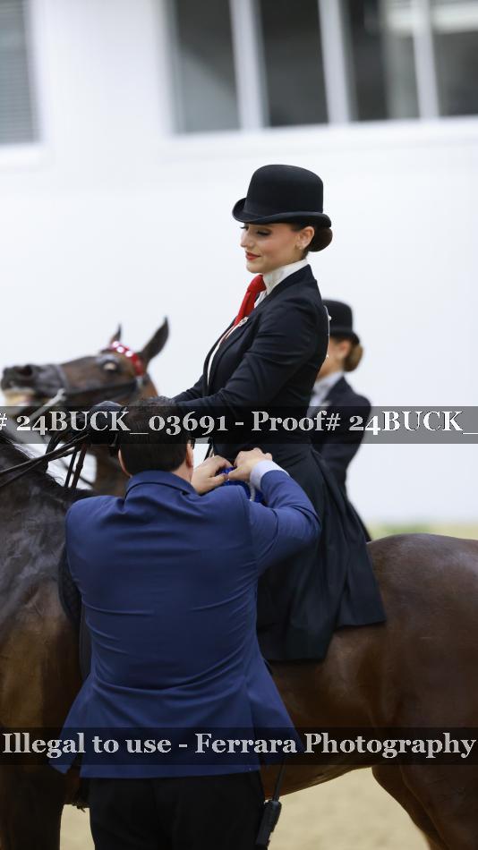 Proof 24BUCK_03691
