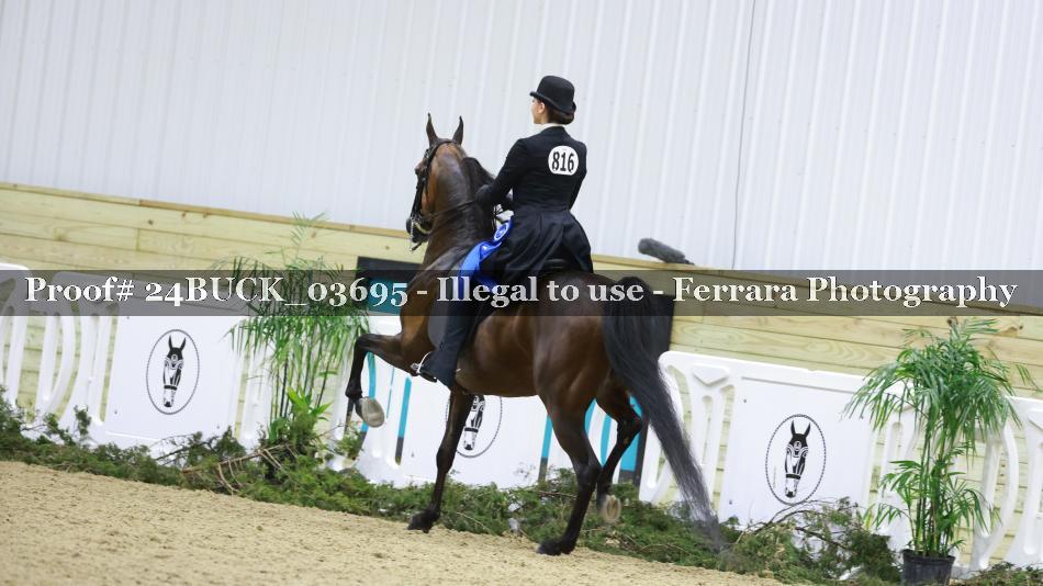 Proof 24BUCK_03695
