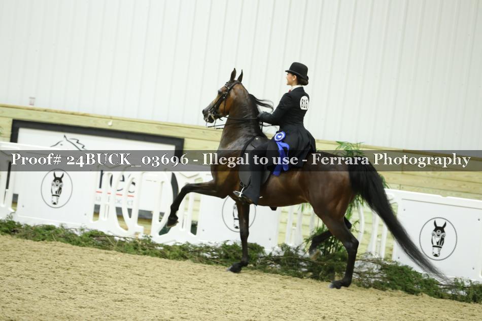Proof 24BUCK_03696