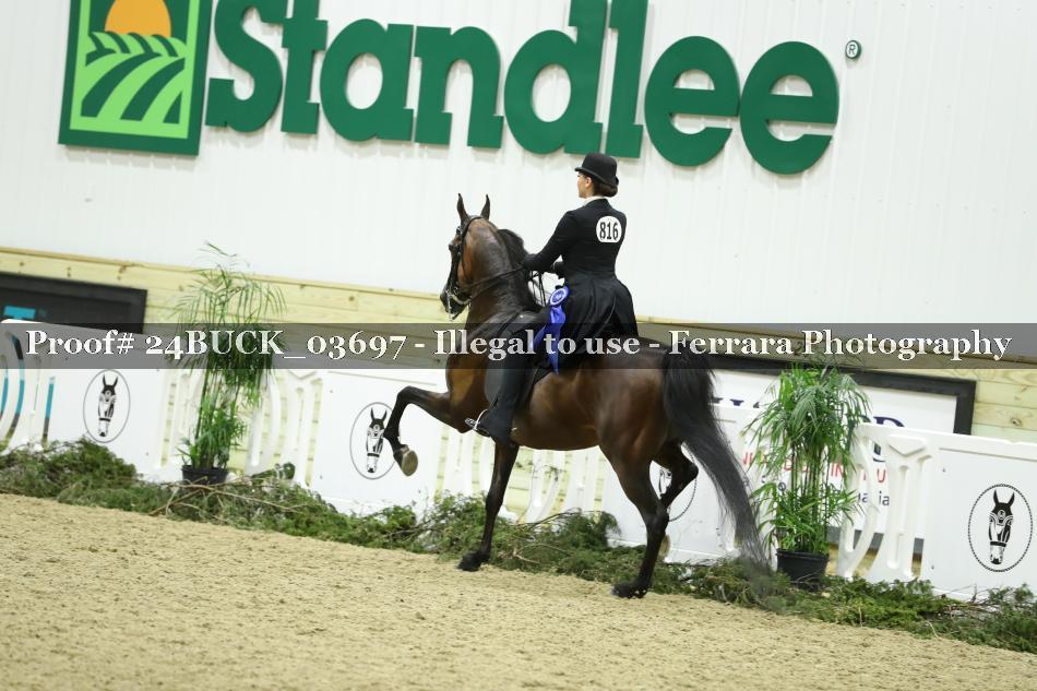 Proof 24BUCK_03697