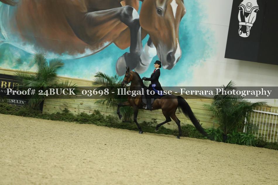 Proof 24BUCK_03698