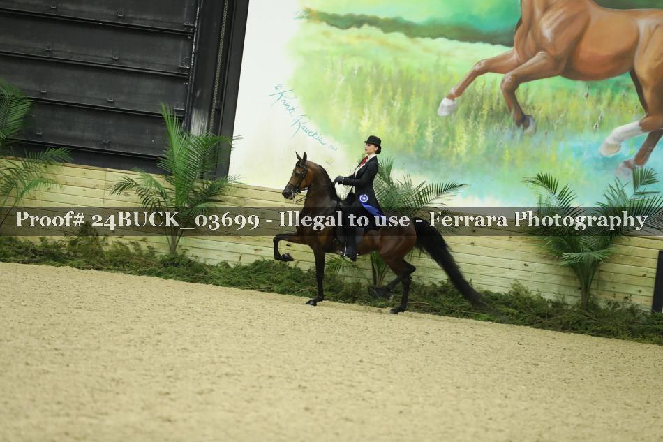 Proof 24BUCK_03699