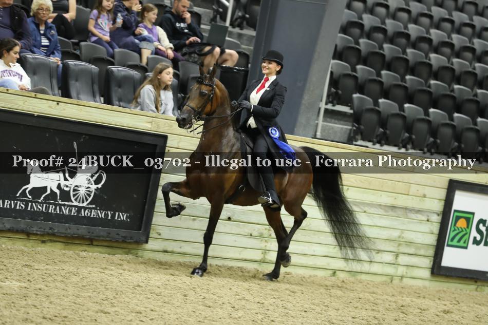 Proof 24BUCK_03702