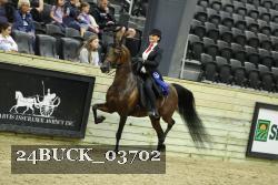 24BUCK_03702 proof