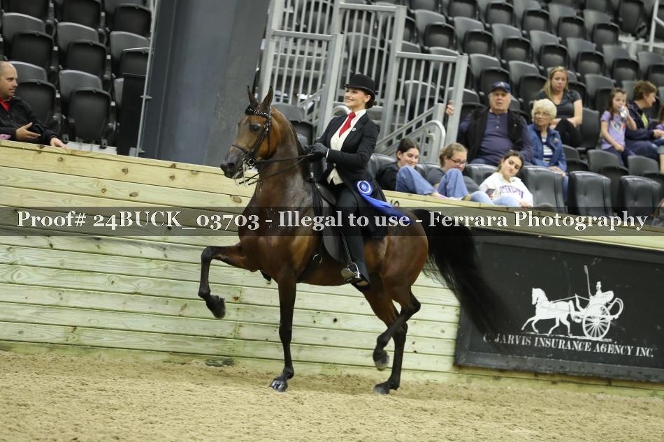 Proof 24BUCK_03703