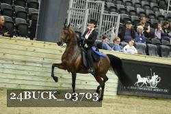 24BUCK_03703 proof