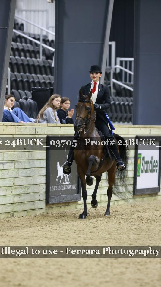 Proof 24BUCK_03705