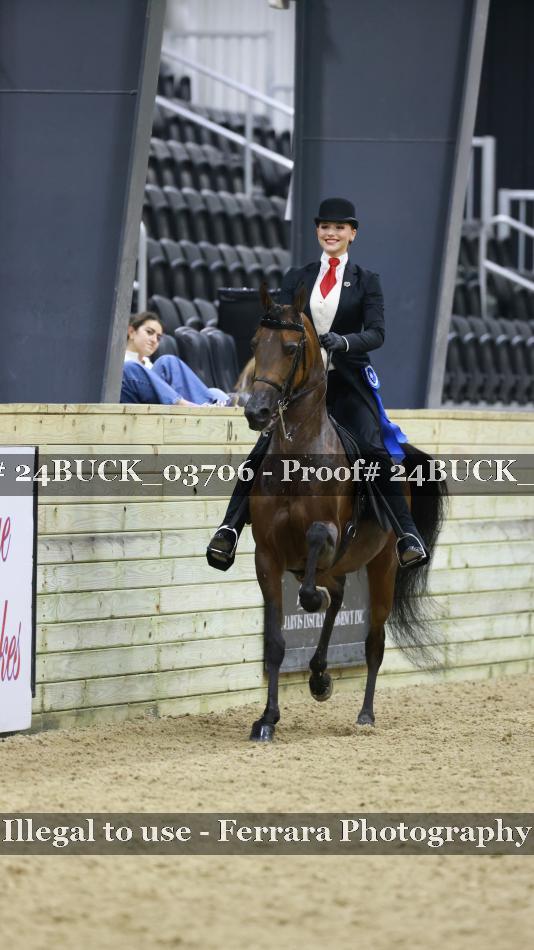 Proof 24BUCK_03706