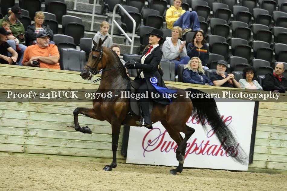 Proof 24BUCK_03708