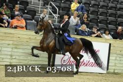 24BUCK_03708 proof