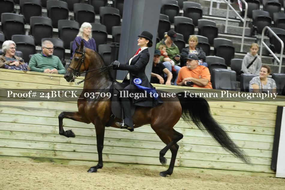 Proof 24BUCK_03709