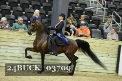 24BUCK_03709 proof