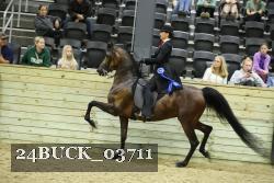 24BUCK_03711 proof