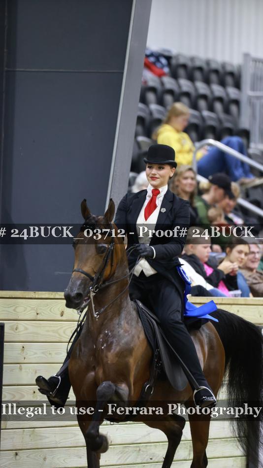 Proof 24BUCK_03712