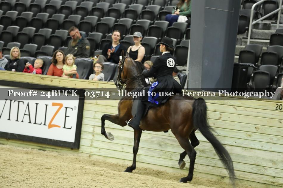 Proof 24BUCK_03714