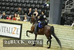 24BUCK_03714 proof
