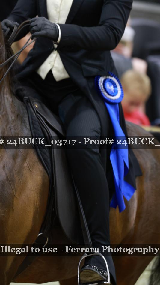 Proof 24BUCK_03717