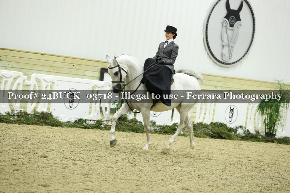 Proof 24BUCK_03718