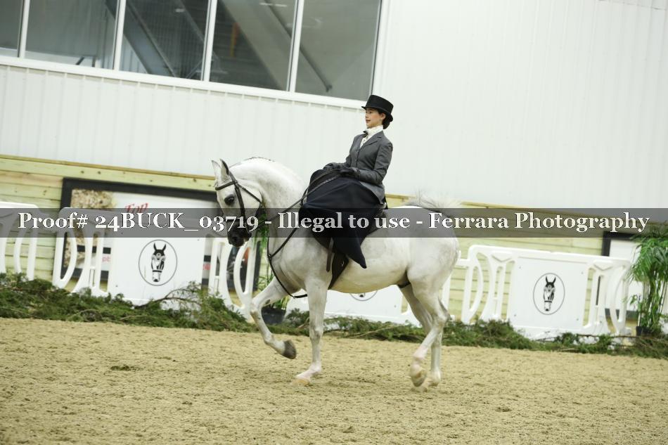 Proof 24BUCK_03719