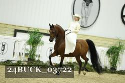 24BUCK_03722 proof