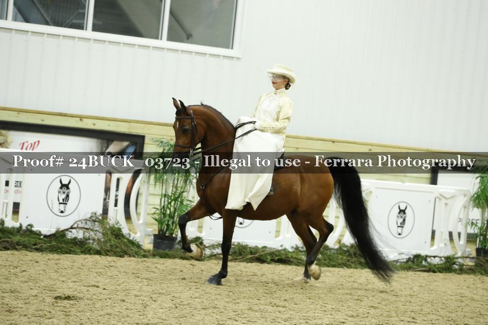 Proof 24BUCK_03723