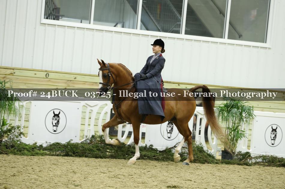 Proof 24BUCK_03725